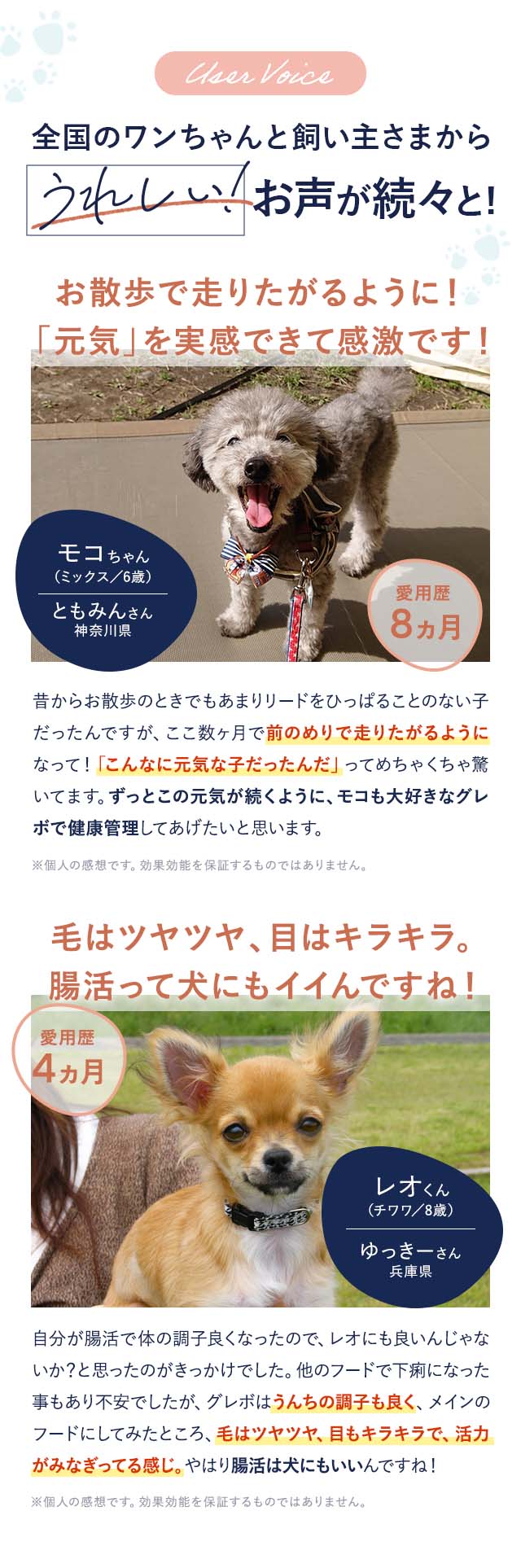 tp03_uservoice_20220901_chokatsu.jpg